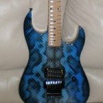 bcrichbluesnakeskingunlinsger