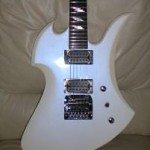 bcrichmockingbird