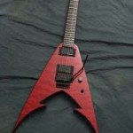 ricojrgaryholtredquilt