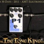 AMT Electronic's P1 (designed after Eddie Van Halen's EVH Peavey 5150 Amp) 30 Pedals Day #6 2011