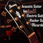 Ibanez Acoustic Guitar : AEG240 w Fishman & USB