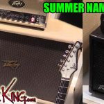 Peavey Amp Update - Piranha, Cabs, Vypyr Pro 100, etc. Summer NAMM 2016