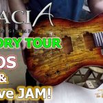 Hanging w Acacia Guitars + FACTORY TOUR !!!!! San Diego 2017