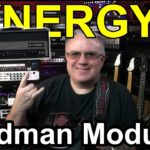 Are Synergy Amps Worth the Money?  Inc. FRIEDMAN BE and DS module overview