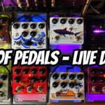TTK LIVE! LOTS of PEDALS - Live Demo - Let's ROCK! m/